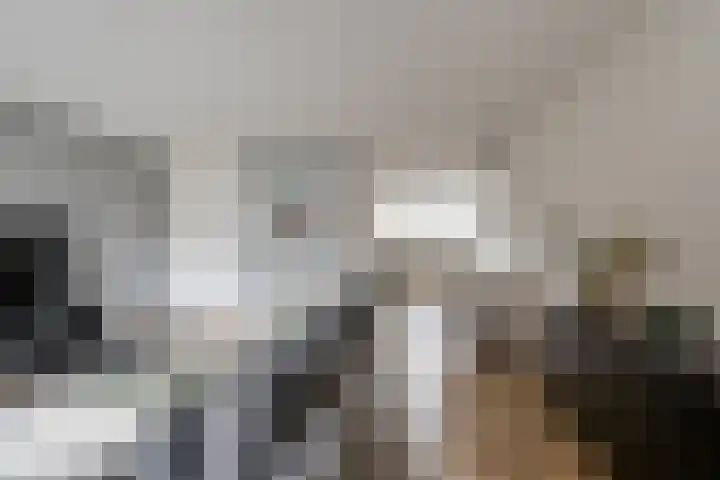 Haemstedehof 18 Vlaardingen thumbnail 7