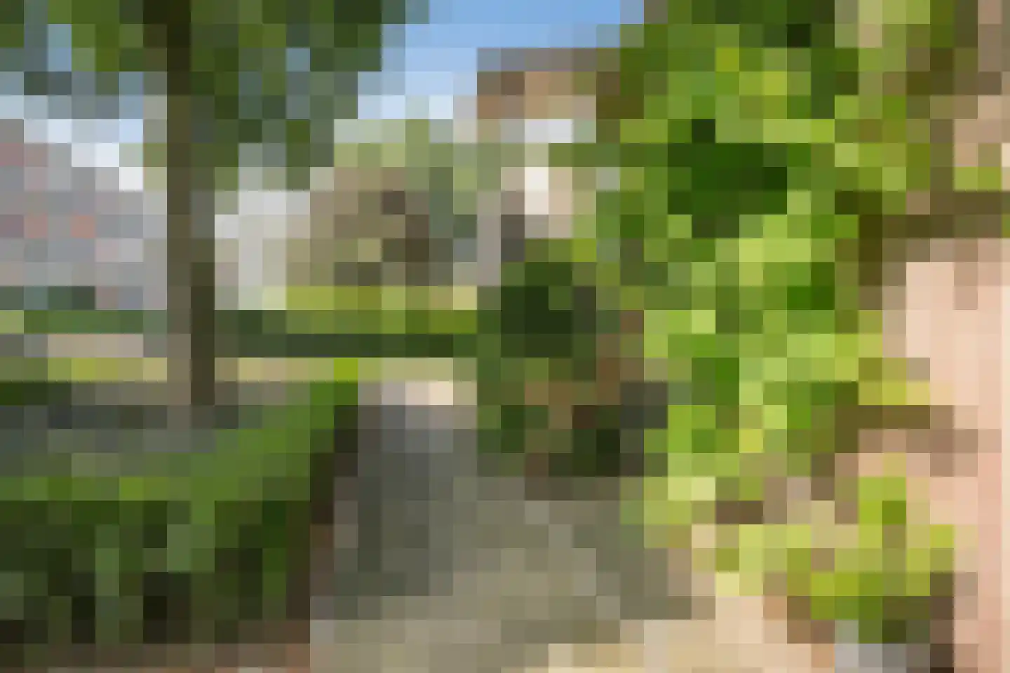 Haemstedehof 24 Vlaardingen thumbnail 10