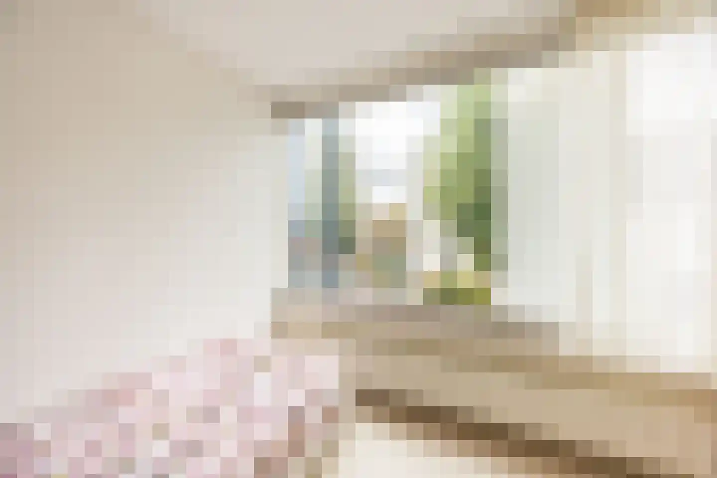 Haemstedelaan 1 Heemstede thumbnail 12