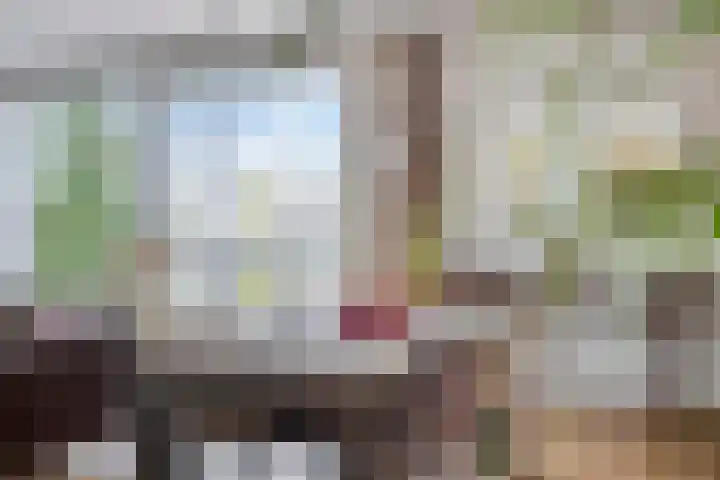Haemstedelaan 3 A Heemstede thumbnail 18
