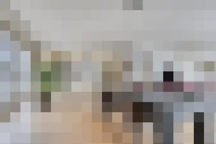Haemstedelaan 3 A Heemstede thumbnail 20