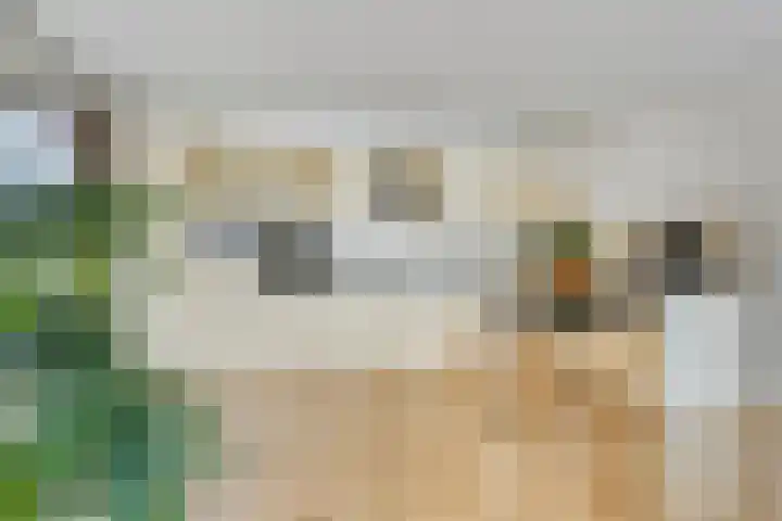 Haemstedelaan 3 A Heemstede thumbnail 21