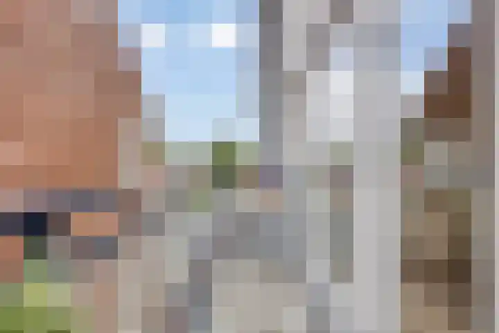 Haemstedelaan 3 A Heemstede thumbnail 25