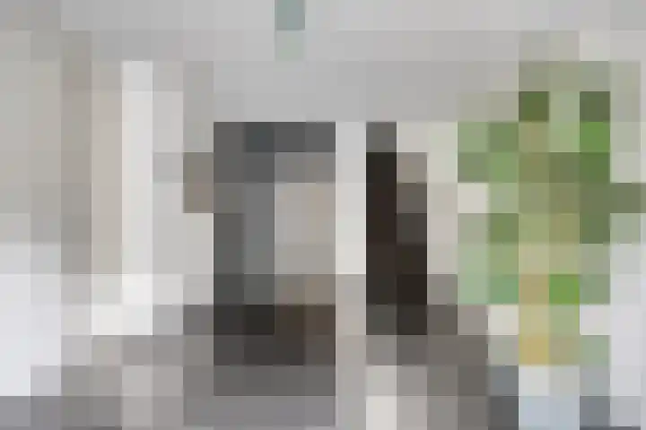 Haemstedelaan 3 A Heemstede thumbnail 7