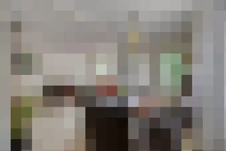 Haenenburgh 17 Teteringen thumbnail 12