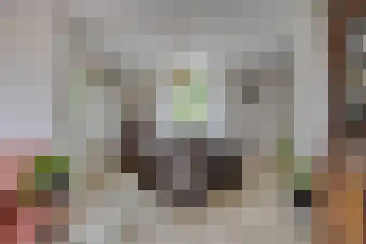 Haenenburgh 17 Teteringen thumbnail 13