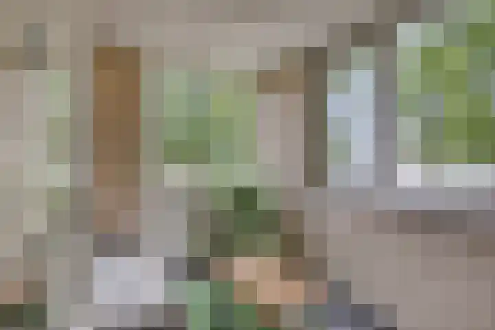 Haenenburgh 17 Teteringen thumbnail 17