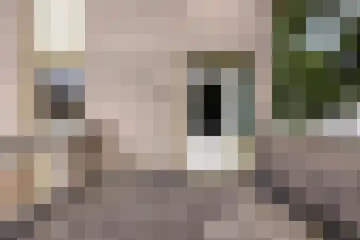Haenenburgh 17 Teteringen thumbnail 25