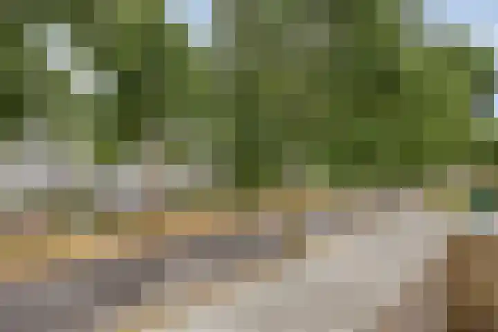 Haenenburgh 17 Teteringen thumbnail 26