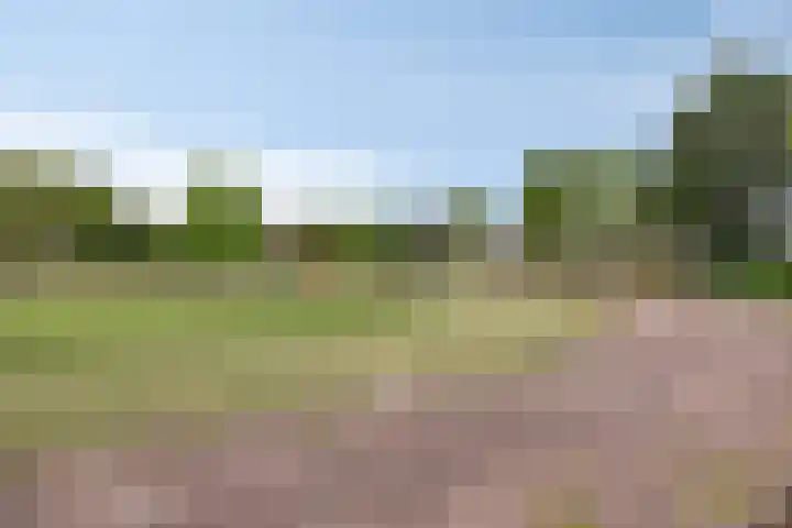 Haenenburgh 17 Teteringen thumbnail 32