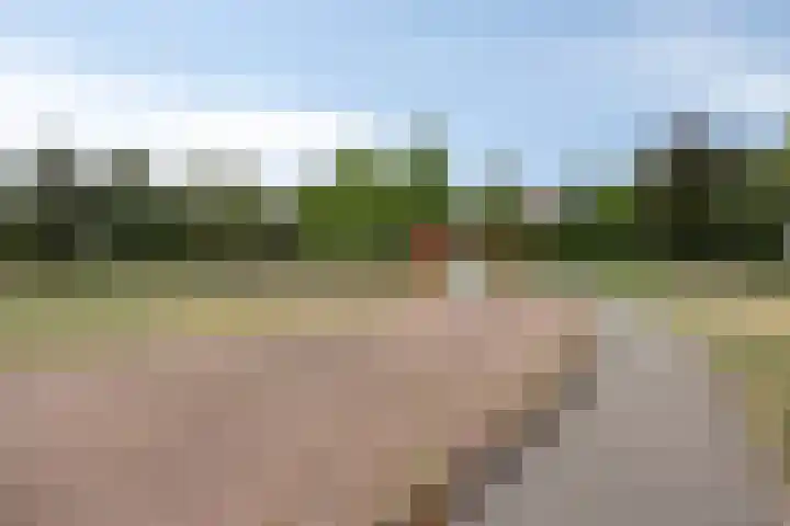 Haenenburgh 17 Teteringen thumbnail 33