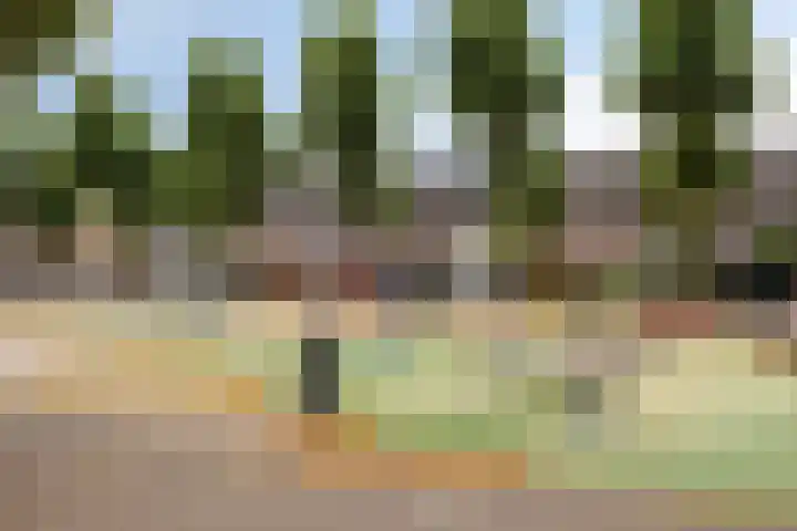 Haenenburgh 17 Teteringen thumbnail 34