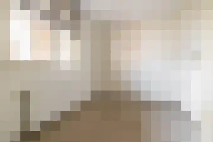 Haenenburgh 5 Teteringen thumbnail 15