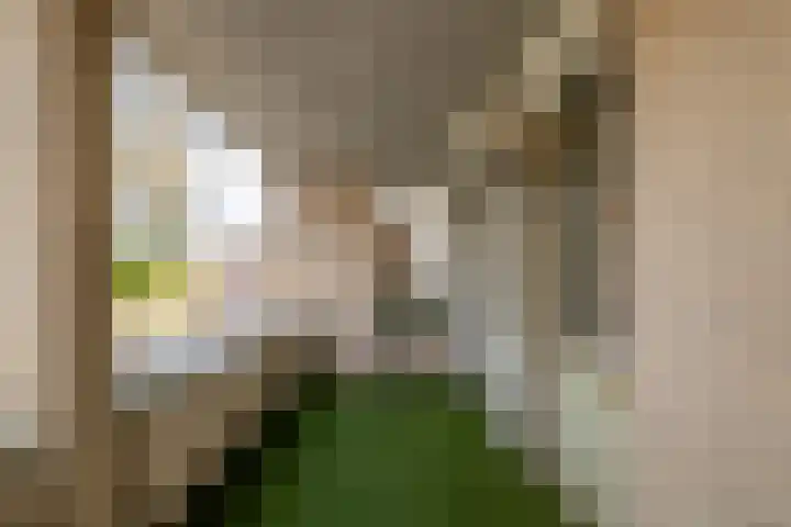 Haenenburgh 5 Teteringen thumbnail 24