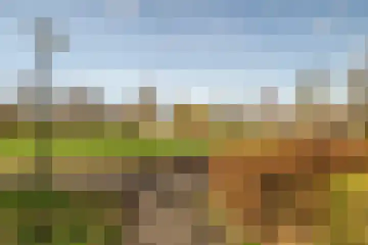 Haenenburgh 5 Teteringen thumbnail 26