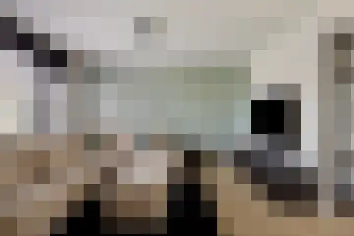 Haenenveld 22 Teteringen thumbnail 10