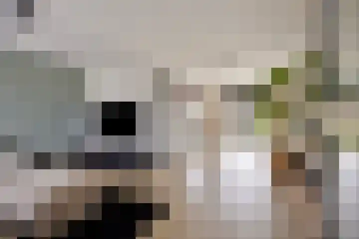 Haenenveld 22 Teteringen thumbnail 12