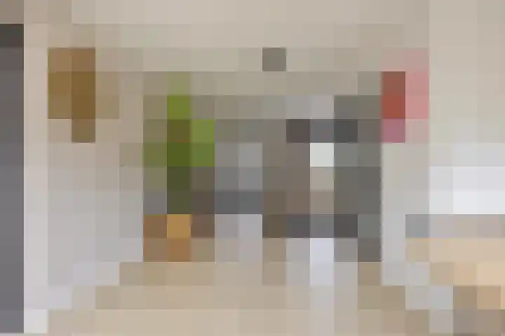 Haenenveld 22 Teteringen thumbnail 13