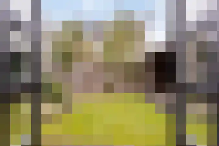 Haenenveld 22 Teteringen thumbnail 18