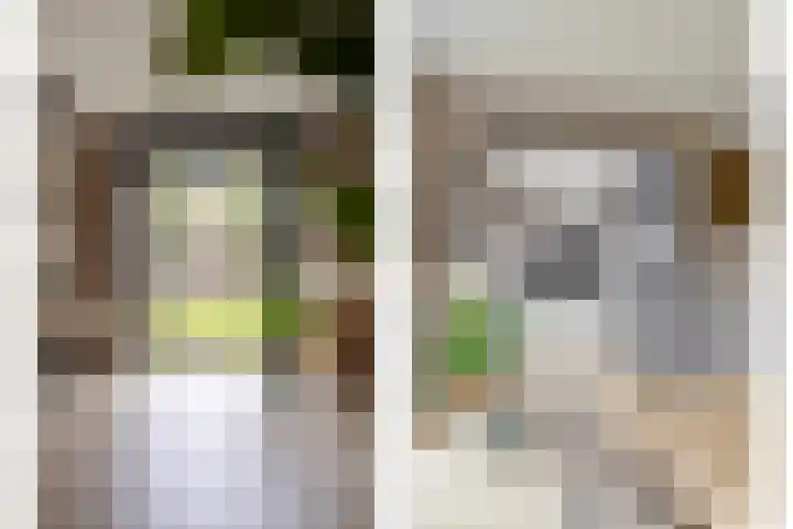 Haenenveld 22 Teteringen thumbnail 21