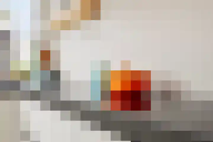 Haenenveld 22 Teteringen thumbnail 24