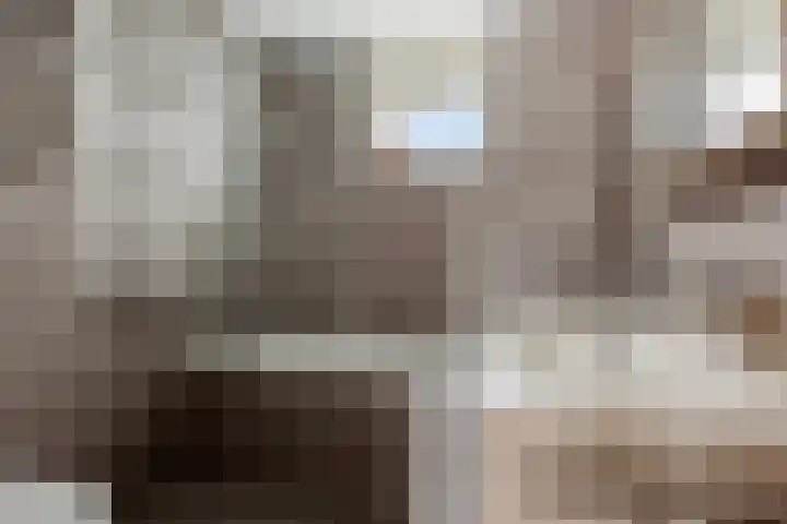Haenenveld 22 Teteringen thumbnail 31