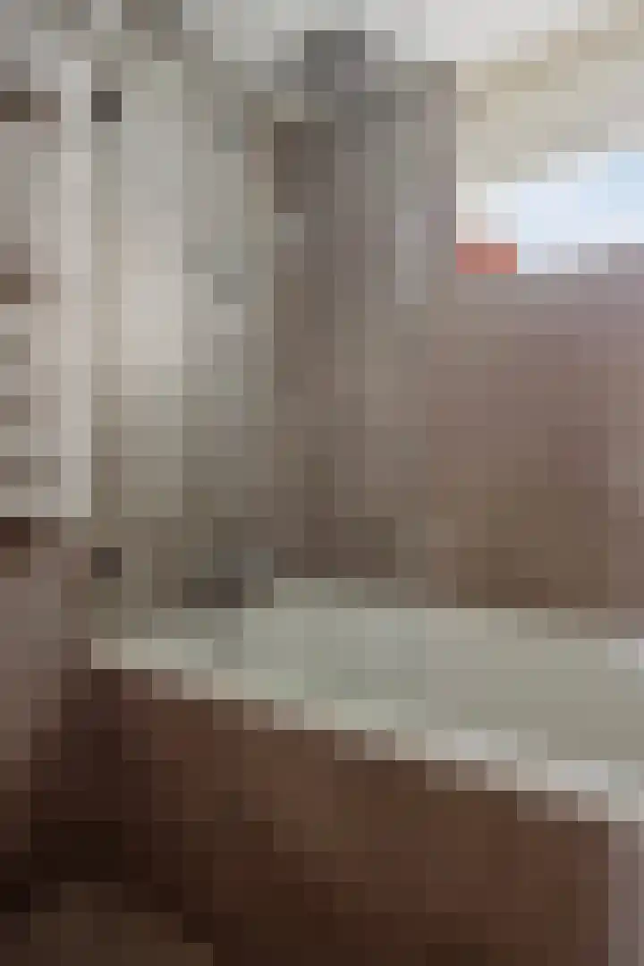 Haenenveld 22 Teteringen thumbnail 32