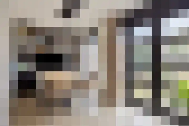 Haenenveld 22 Teteringen thumbnail 4