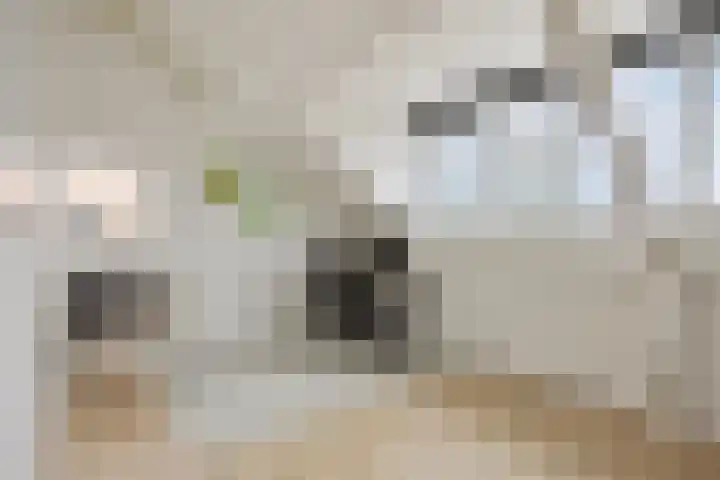 Haenenveld 22 Teteringen thumbnail 41