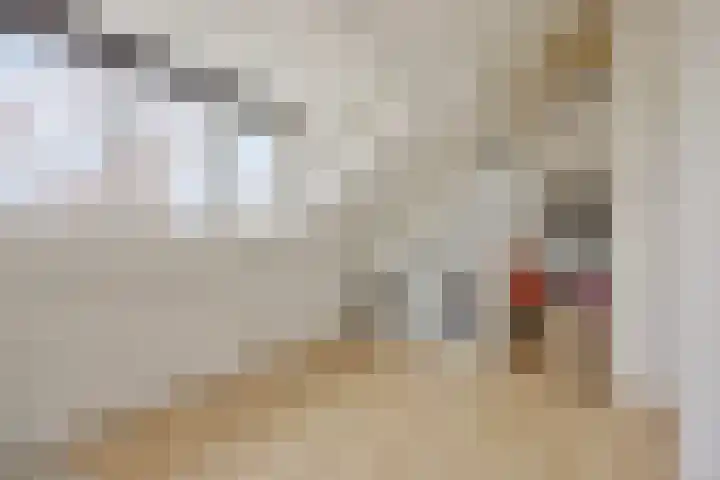 Haenenveld 22 Teteringen thumbnail 42