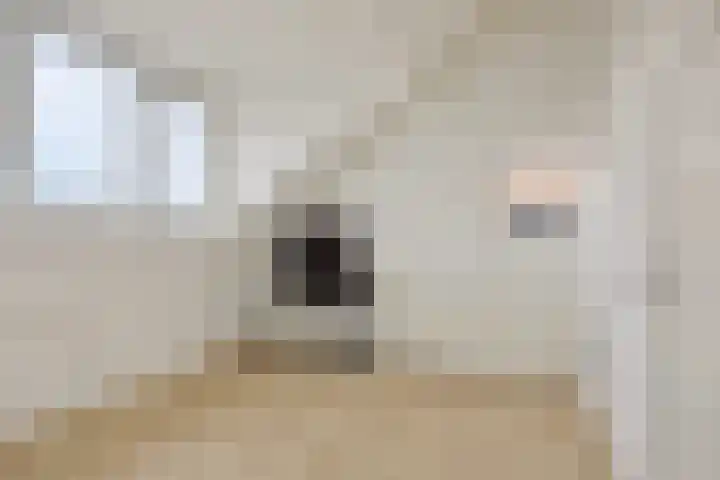 Haenenveld 22 Teteringen thumbnail 43