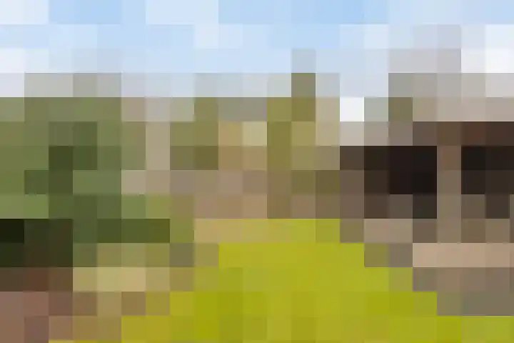 Haenenveld 22 Teteringen thumbnail 45