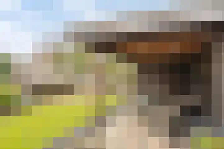 Haenenveld 22 Teteringen thumbnail 47