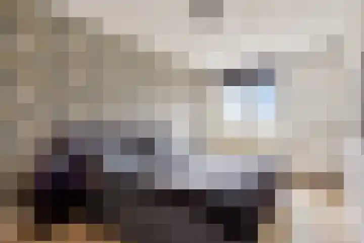 Haenenveld 22 Teteringen thumbnail 5