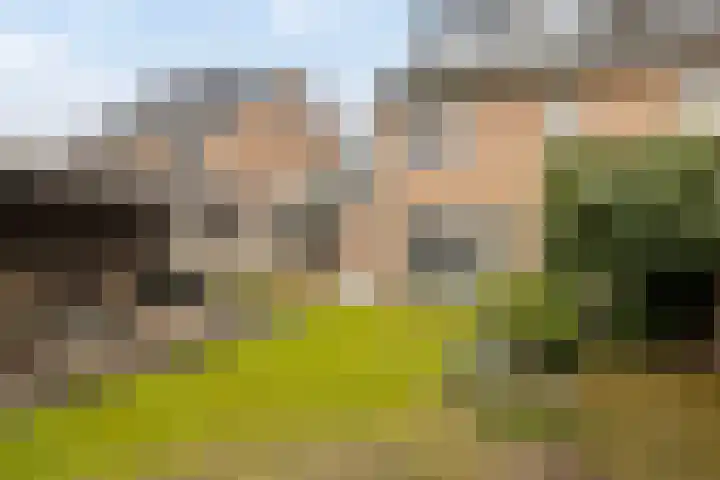Haenenveld 22 Teteringen thumbnail 50