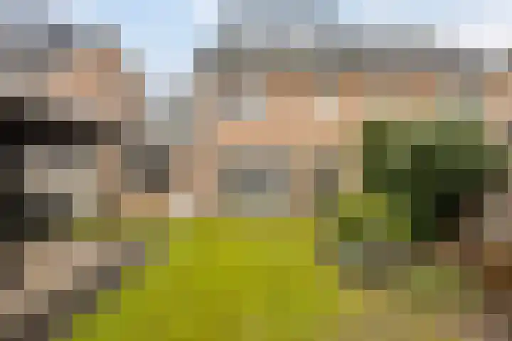 Haenenveld 22 Teteringen thumbnail 51