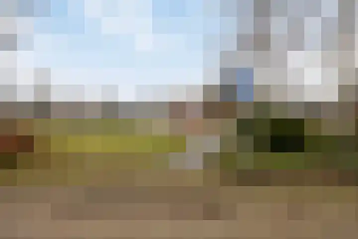 Haenenveld 22 Teteringen thumbnail 57