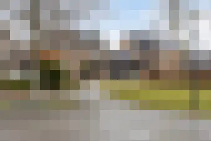 Haenenveld 22 Teteringen thumbnail 60