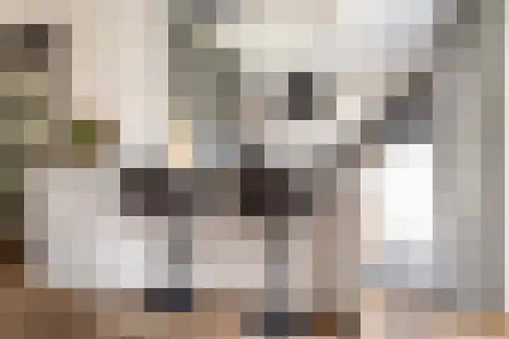 Haenenveld 26 Teteringen thumbnail 13