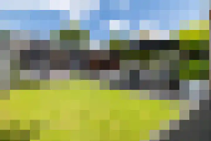 Haenenveld 26 Teteringen thumbnail 34