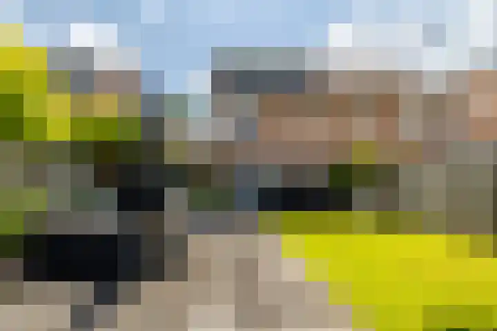 Haenenveld 26 Teteringen thumbnail 41