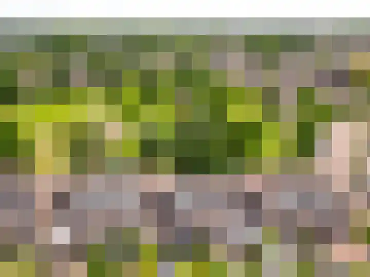 Haenenveld 26 Teteringen thumbnail 42