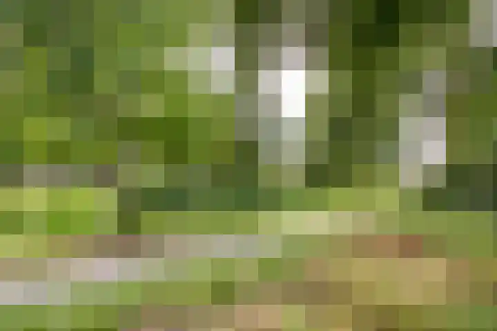 Haenenveld 26 Teteringen thumbnail 44