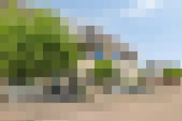 Haenenveld 31 Teteringen thumbnail 42