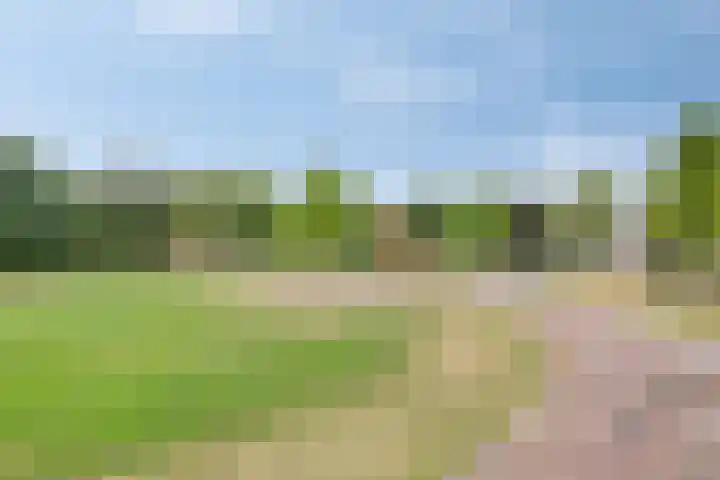 Haenenveld 31 Teteringen thumbnail 47
