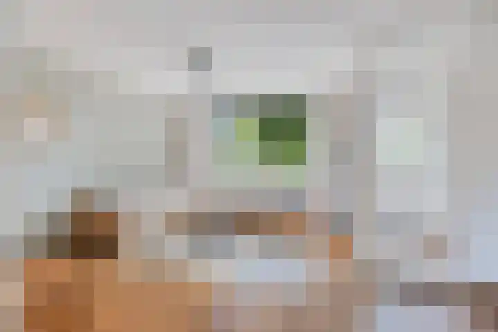 Haenenveld 31 Teteringen thumbnail 7