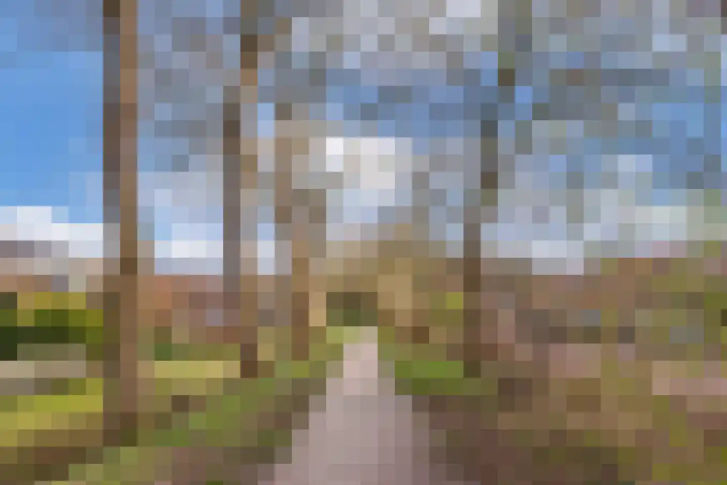 Haenepolle 26 Noordwolde thumbnail 23