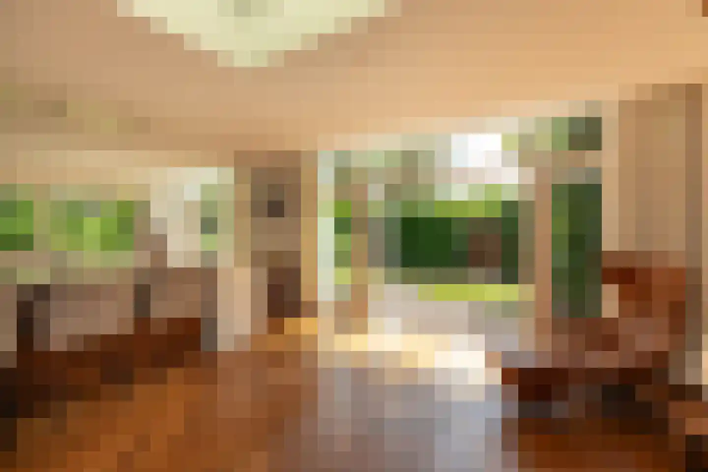 Haenwijck 2 Laren thumbnail 12
