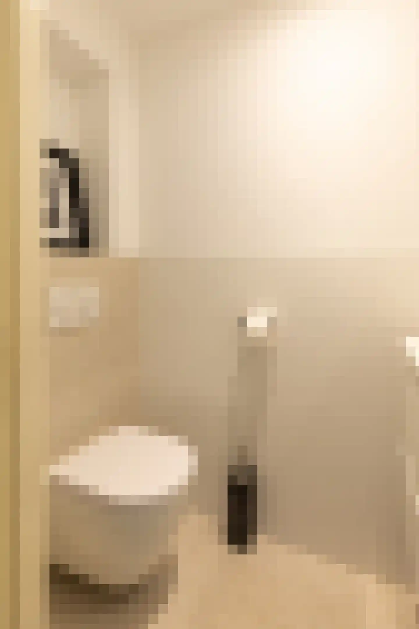 Haenwijck 2 Laren thumbnail 15