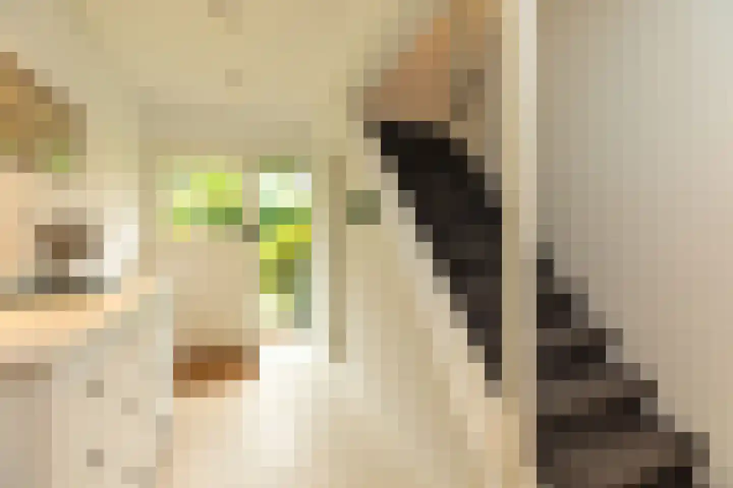 Haenwijck 2 Laren thumbnail 16